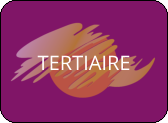 TERTIAIRE